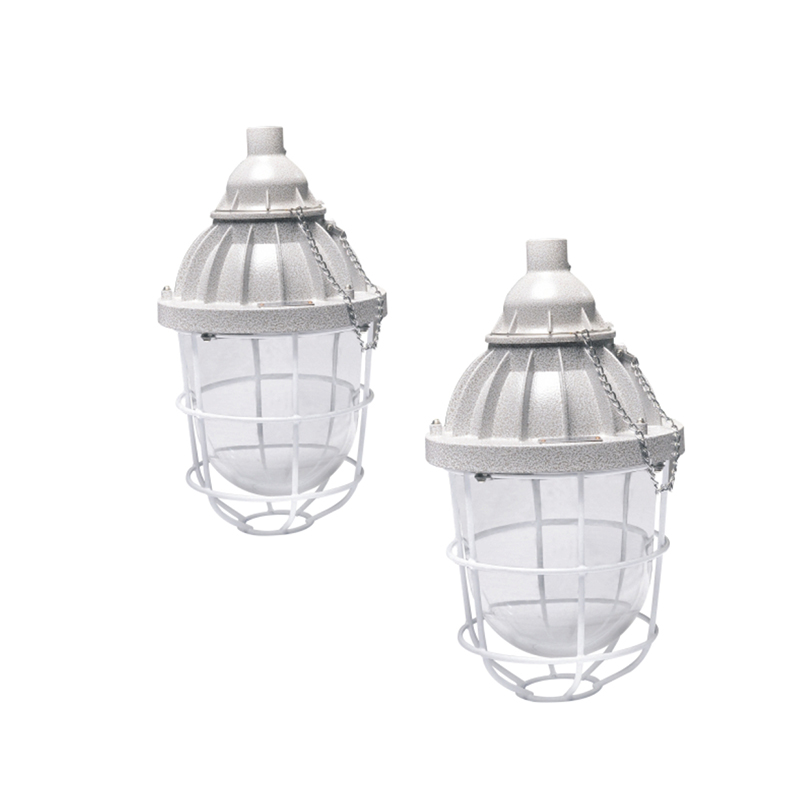 CBD61系列高效節(jié)能防爆燈（IIC tD）