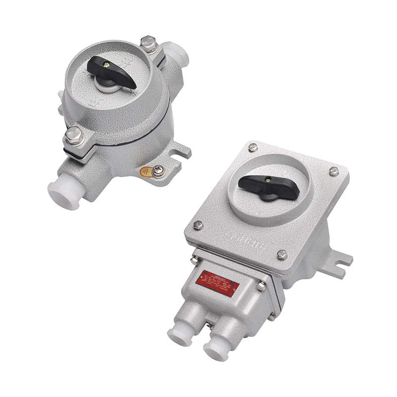 CBZM系列防爆（照明）轉(zhuǎn)換開關(guān)（IIB tD）